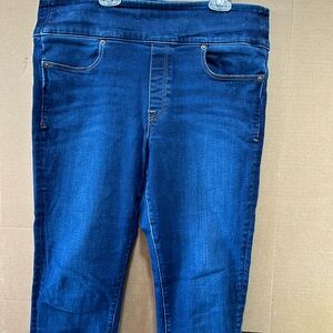 Spanx Signature Waist Skinny Jean